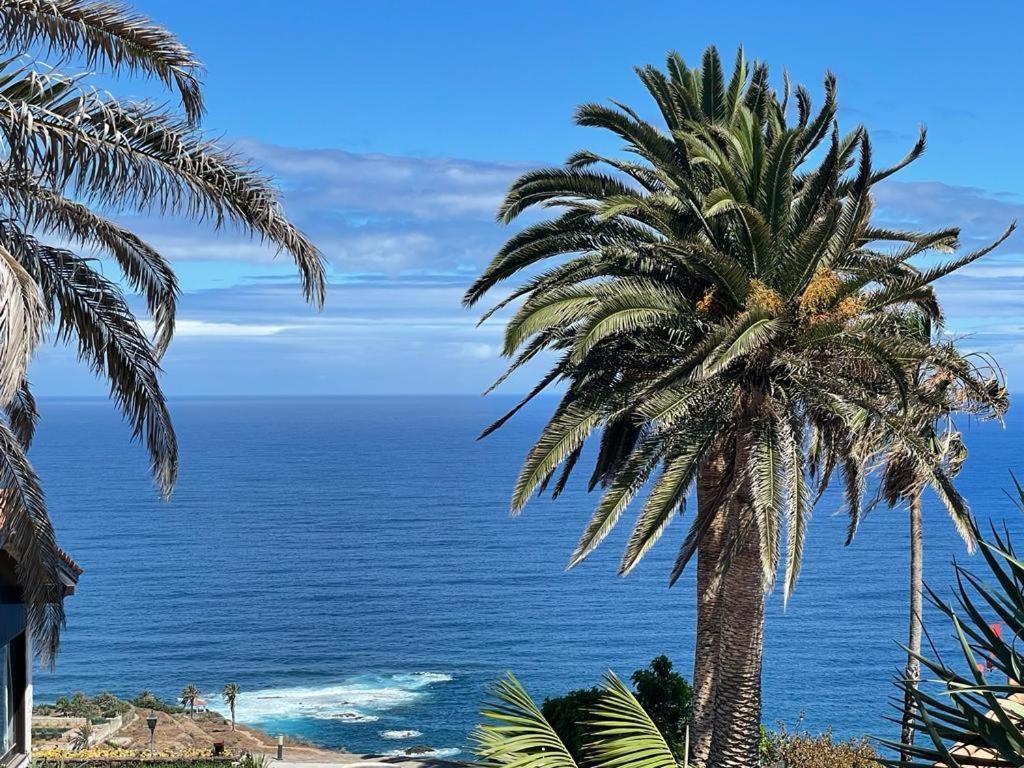 El Drago Apartment, Amazing Ocean & Cliff View Los Realejos Eksteriør billede